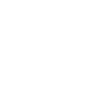 Website Icon